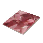 Roze geranium: bijna stevig lichtroze tegeltje (Zijkant)