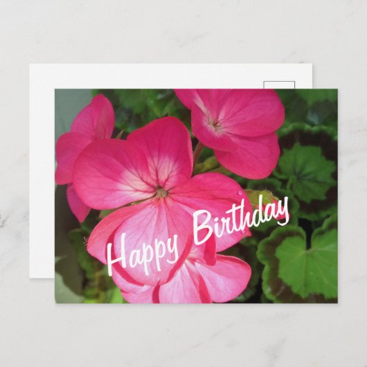 Roze Geranium Birthday Briefkaart (Voorkant / Achterkant)