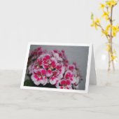 Roze Geranium Bloemen, Bloem Portret Kaart (Gele Bloem)