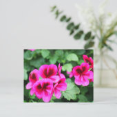 Roze Geranium Briefkaart (Staand voorkant)