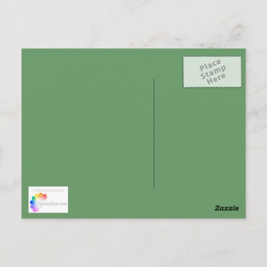 Roze Geranium Briefkaart (Achterkant)