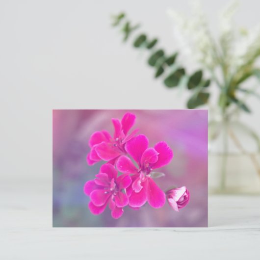 Roze Geranium Flowers Briefkaart | Fotografie (Staand voorkant)