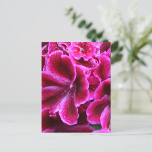 Roze Geranium-foto| Briefkaart (Staand voorkant)