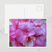  Roze Geranium Foto Dinking of You Briefkaart (Voorkant / Achterkant)