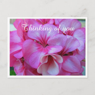 Roze Geranium Foto Dinking of You Briefkaart