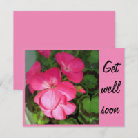 Roze Geranium Foto krijgt snel weer goed