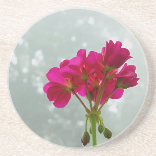 Roze geranium fotografie Sandstone Onderzetter (Voorkant)