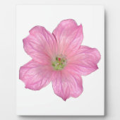 Roze Geranium Fotoplaat (Voorkant)
