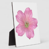 Roze Geranium Fotoplaat (Zijkant)