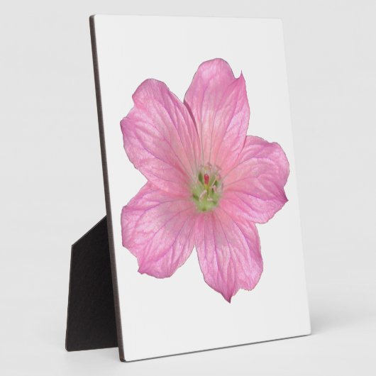 Roze Geranium Fotoplaat (Zijkant)