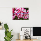 Roze  Geranium Garden Flowers Love Poster (Thuiskantoor)