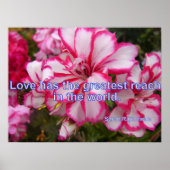 Roze  Geranium Garden Flowers Love Poster (Voorkant)