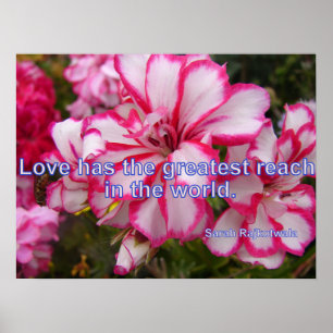 Roze  Geranium Garden Flowers Love Poster