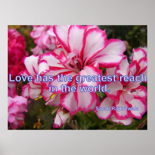 Roze  Geranium Garden Flowers Love Poster (Voorkant)