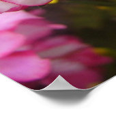 Roze  Geranium Garden Flowers Love Poster (Hoek)