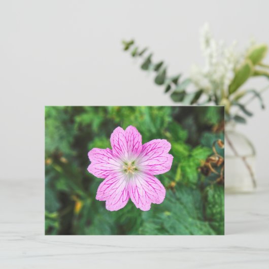 Roze Geranium Kaart (Staand voorkant)