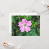 Roze Geranium Kaart (Voorkant / Achterkant in situ)