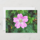 Roze Geranium Kaart (Voorkant)