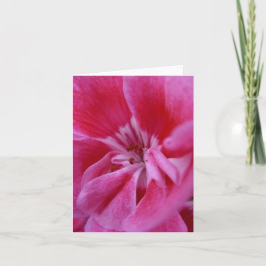 Roze geranium notecard kaart (Voorkant)