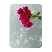Roze Geranium Photo Magnet Magneet (Verticaal)