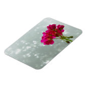 Roze Geranium Photo Magnet Magneet (Linkerzijde)