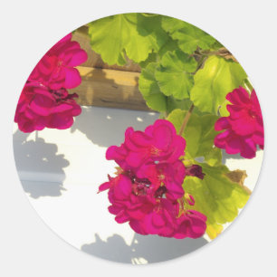 Roze Geranium Ronde Sticker
