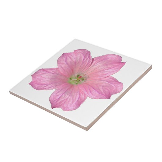 Roze Geranium Tegeltje (Zijkant)