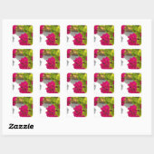 Roze Geranium Vierkante Sticker (Vel)
