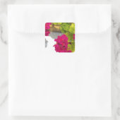 Roze Geranium Vierkante Sticker (Tas)