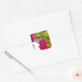 Roze Geranium Vierkante Sticker (Envelop)