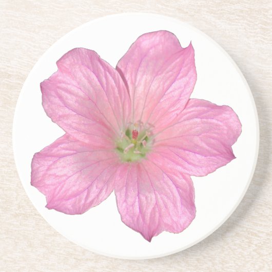 Roze Geranium Zandsteen Onderzetter (Voorkant)