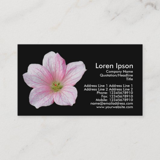 Roze geranium - zwart visitekaartje (Voorkant)
