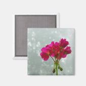 Roze geraniumAfbeelding Magnet (Voorkant / Achterkant)