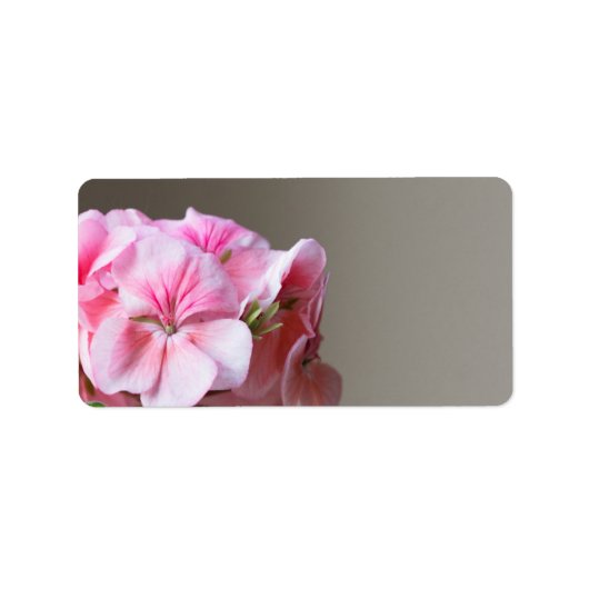 Roze geraniumbloem etiket (Voorkant)