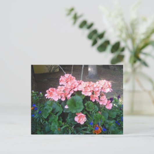 Roze geraniumBriefkaart Briefkaart (Staand voorkant)