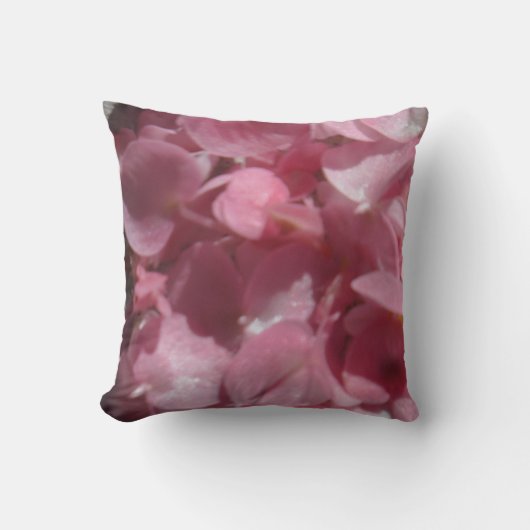 roze geraniums : bijna licht roze kussen (Voorkant)