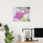 Roze Geraniums Poster (Thuiskantoor)