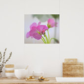 Roze Geraniums Poster (Keuken)