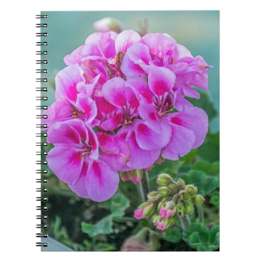 Roze geraniumsnotitieboekje notitieboek (Voorkant)