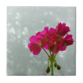 Roze geraniumventilator Afbeelding Tegel Tegeltje (Voorkant)