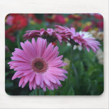 Roze Gerber Daisies kleurrijk mousepad cadeauidee