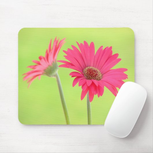  roze Gerber Daisies over Green Mousepad Muismat (Met muis)