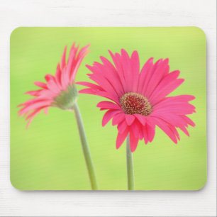 roze Gerber Daisies over Green Mousepad Muismat