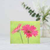 roze Gerber Daisies over Groen Briefkaart (Staand voorkant)
