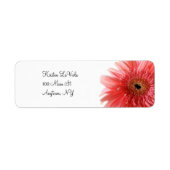 Roze Gerber Daisy adreslabel Etiket (Voorkant)
