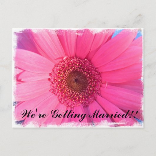 Roze Gerber Daisy bruiloft uitnodiging (Voorkant)