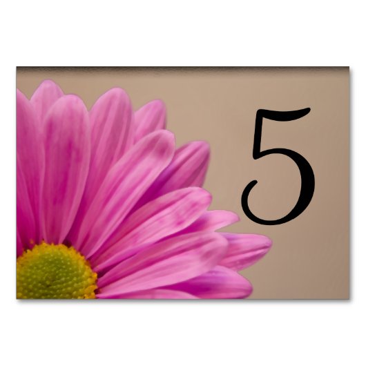 Roze Gerber Daisy Flower Table Numbers Kaart (Achterkant)