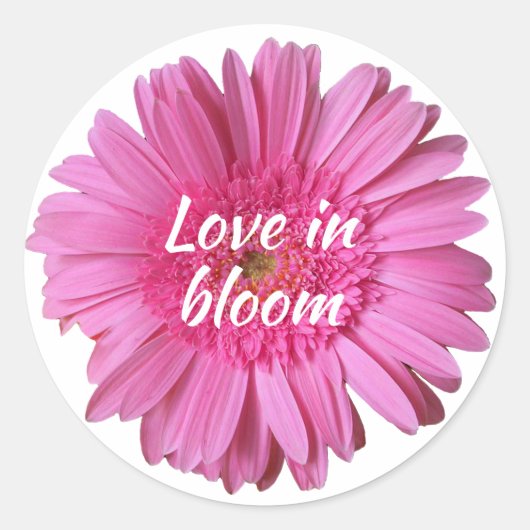 Roze Gerber Daisy met Tekst Sticker (Voorkant)
