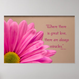 Roze Gerber Daisy Miracles Poster