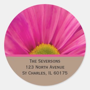 Roze Gerber Daisy op het Adres van de Terugkeer va Ronde Sticker